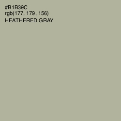 #B1B39C - Heathered Gray Color Image